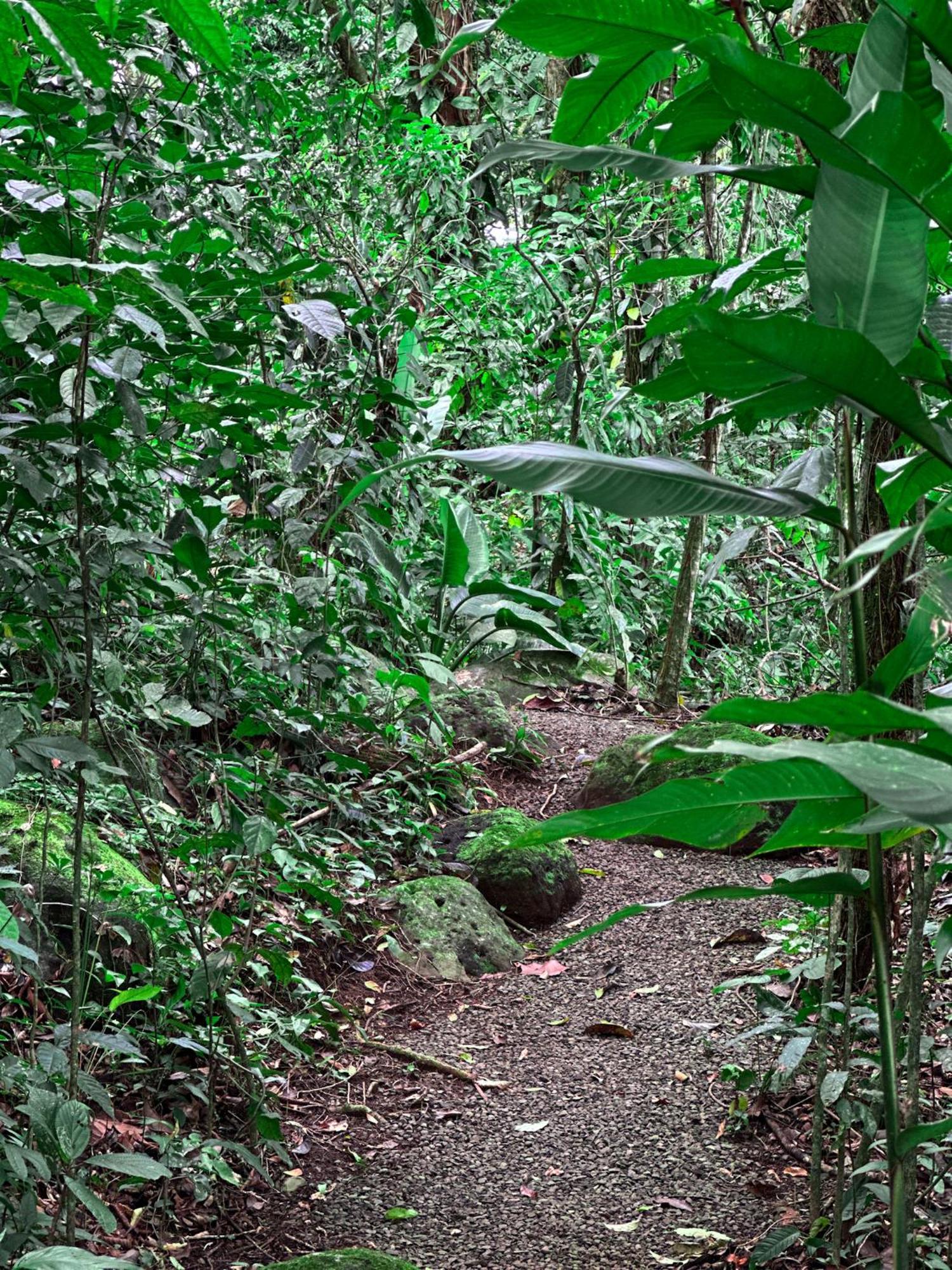 Cabanas Rio Escondido En La Fortuna מראה חיצוני תמונה