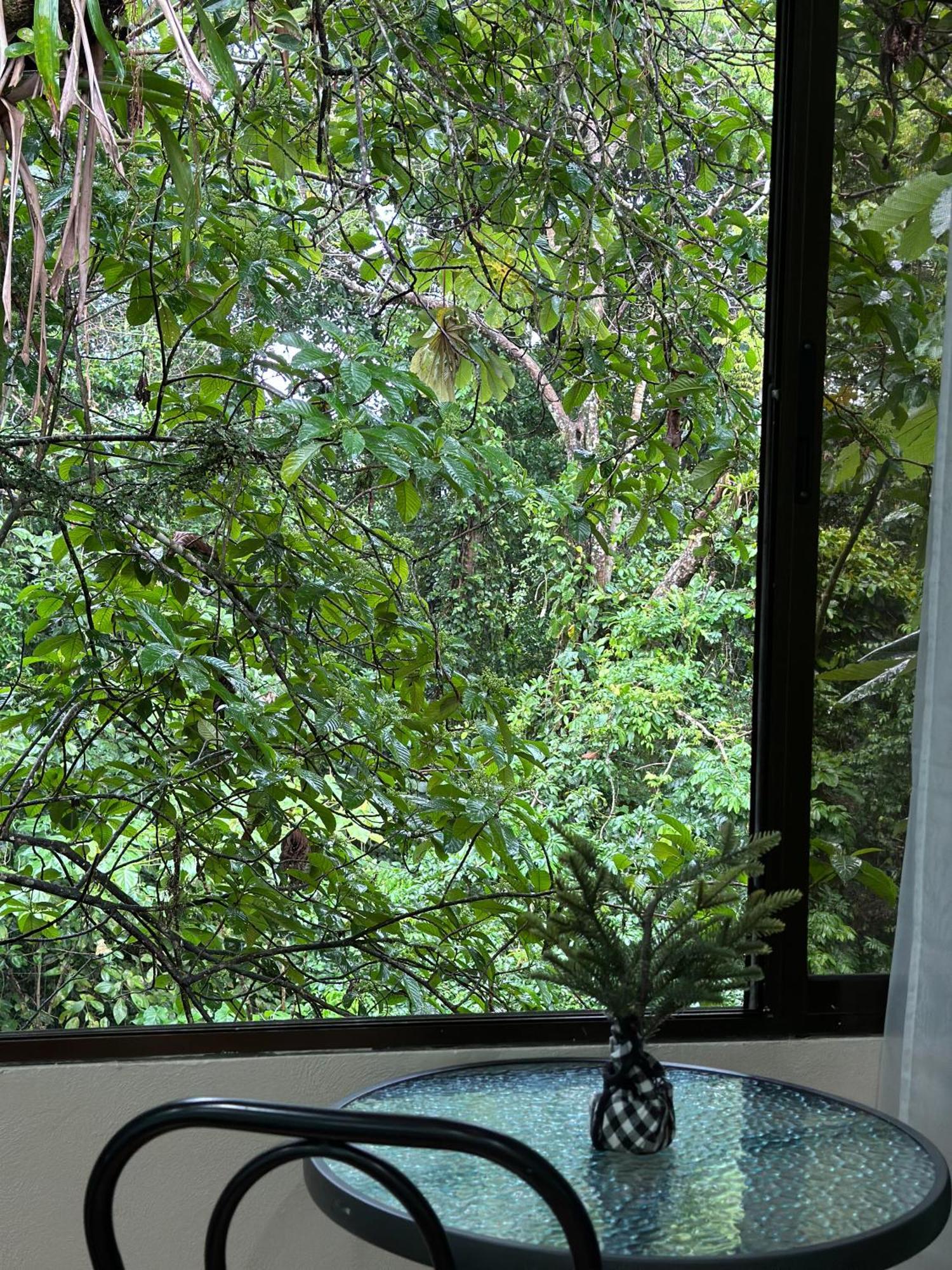 Cabanas Rio Escondido En La Fortuna מראה חיצוני תמונה